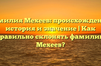 Фамилия Мехеев: происхождение, история и значение | Как правильно склонять фамилию Мехеев?
