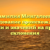 Фамилия Мингалеева: исследование происхождения, истории и значений на примере склонения
