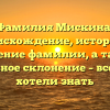 Фамилия Мискина: происхождение, история и значение фамилии, а также правильное склонение – все, что вы хотели знать