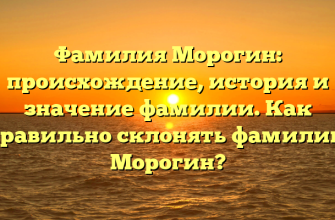 Фамилия Морогин: происхождение, история и значение фамилии. Как правильно склонять фамилию Морогин?