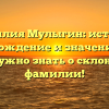 Фамилия Мулыгин: история, происхождение и значение — все, что нужно знать о склонении фамилии!
