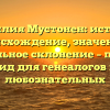 Фамилия Мустонен: история, происхождение, значение и правильное склонение – полный гид для генеалогов и любознательных