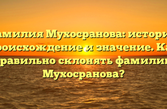 Фамилия Мухосранова: история, происхождение и значение. Как правильно склонять фамилию Мухосранова?