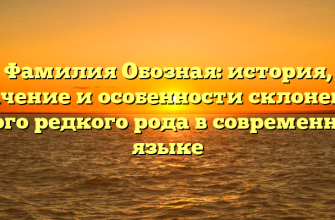 Фамилия Обозная: история, значение и особенности склонения этого редкого рода в современном языке