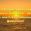 Фамилия Пекун: происхождение, история и значение — все, что нужно знать о склонении этой фамилии!