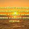 Фамилия Петт: исследуем ее происхождение, историю и значение, а также объясняем склонение в нашей полезной статье