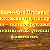 Фамилия Плиевы: происхождение, история и значения — полное руководство по склонению этой уникальной фамилии.