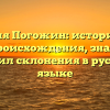 Фамилия Погожин: исторический обзор происхождения, значения и правил склонения в русском языке