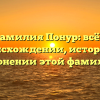 Фамилия Понур: всё о происхождении, истории и склонении этой фамилии!