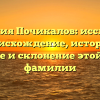 Фамилия Почикалов: исследуем происхождение, историю, значение и склонение этой редкой фамилии