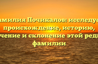Фамилия Почикалов: исследуем происхождение, историю, значение и склонение этой редкой фамилии