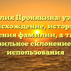 Фамилия Пронякина: узнайте происхождение, историю и значения фамилии, а также правильное склонение для использования