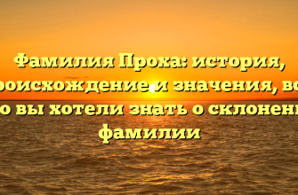 Фамилия Проха: история, происхождение и значения, все, что вы хотели знать о склонении фамилии