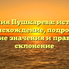 Фамилия Пушкарева: история и происхождение, подробное описание значения и правильное склонение