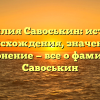 Фамилия Савоськин: история происхождения, значение и склонение — все о фамилии Савоськин