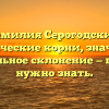Фамилия Серогодский: исторические корни, значение и правильное склонение — все, что нужно знать.