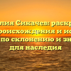 Фамилия Сикачев: раскрытие тайн происхождения и истории, советы по склонению и значение для наследия