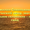 Фамилия Синильников: исторический обзор, значение и правильное склонение — полный гайд
