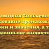 Фамилия Синькевич: исследование происхождения, истории и значения, а также правильное склонение