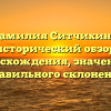 Фамилия Ситчихина: исторический обзор происхождения, значения и правильного склонения