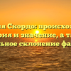 Фамилия Скордо: происхождение, история и значение, а также правильное склонение фамилии