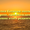 Фамилия Солнцев: исследуем историю, происхождение и склонение этого редкого рода