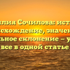 Фамилия Сочилова: история, происхождение, значение и правильное склонение — узнайте все в одной статье