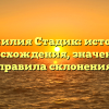 Фамилия Стадик: история происхождения, значение и правила склонения