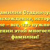 Фамилия Стадничук: происхождение, история и значение — все, что нужно знать о склонении этой многословной фамилии!
