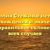 Фамилия Стежина: история происхождения и значения, а также правильное склонение для всех случаев