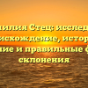 Фамилия Стец: исследуем происхождение, историю, значение и правильные формы склонения