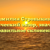 Фамилия Стробыкина: исторический обзор, значение и правильное склонение