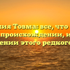 Фамилия Товма: все, что нужно знать о происхождении, истории и склонении этого редкого имени
