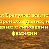 Фамилия Трегулов: все, что нужно знать о происхождении, истории, значении и склонении этой фамилии