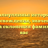Валиуллины: история происхождения, значения и правила склонения фамилии для вас