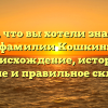 Все, что вы хотели знать о фамилии Кошкин: происхождение, история, значение и правильное склонение
