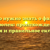 Все, что нужно знать о фамилии Писюлек: происхождение, история и правильное склонение