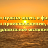 Всё, что нужно знать о фамилии Алкеева: происхождение, история и правильное склонение