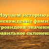 Изучаем историю и происхождение фамилии Островидова: значение и правильное склонение