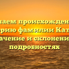 Изучаем происхождение и историю фамилии Катаки: значение и склонение в подробностях