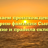 Изучаем происхождение и историю фамилии Сысоева: значение и правила склонения