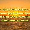 Изучаем происхождение, историю и склонение фамилии Ордынцев — полный гид для родословных и любознательных