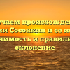 Изучаем происхождение фамилии Сосонкин и ее историю: значимость и правильное склонение