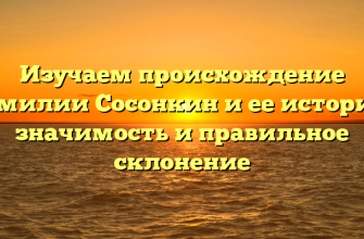 Изучаем происхождение фамилии Сосонкин и ее историю: значимость и правильное склонение
