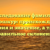 Исследование фамилии Тонкошкур: происхождение, история и значение, а также правильное склонение