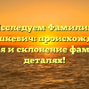 Исследуем Фамилию Мелешкевич: происхождение, история и склонение фамилии в деталях!