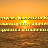 Исследуем фамилию Крысь: происхождение, значение и правила склонения