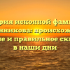 История исконной фамилии Ольшанникова: происхождение, значение и правильное склонение в наши дни