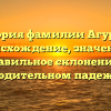 История фамилии Агурова: происхождение, значение и правильное склонение в родительном падеже