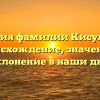 История фамилии Кисуленко: происхождение, значение и склонение в наши дни
